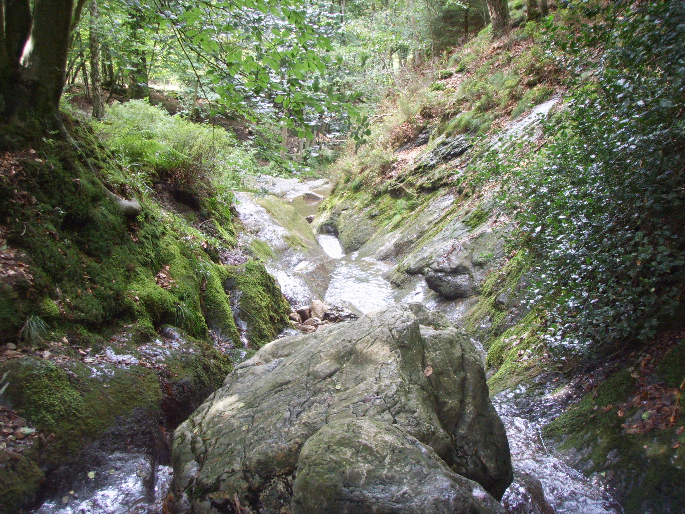 Aywaille AY21 | Vallon du Ninglinspo – Point de vue Drouet