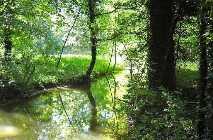 Ouffet P3 | Balade du Neblon