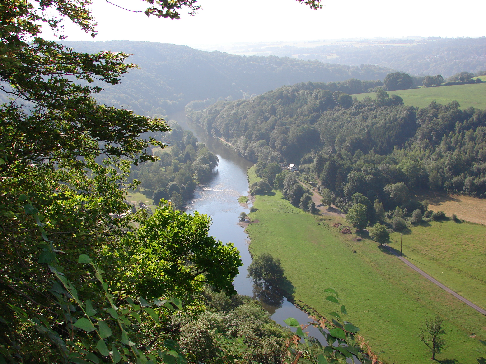 Esneux P06 | Circuit de la Roche aux Faucons
