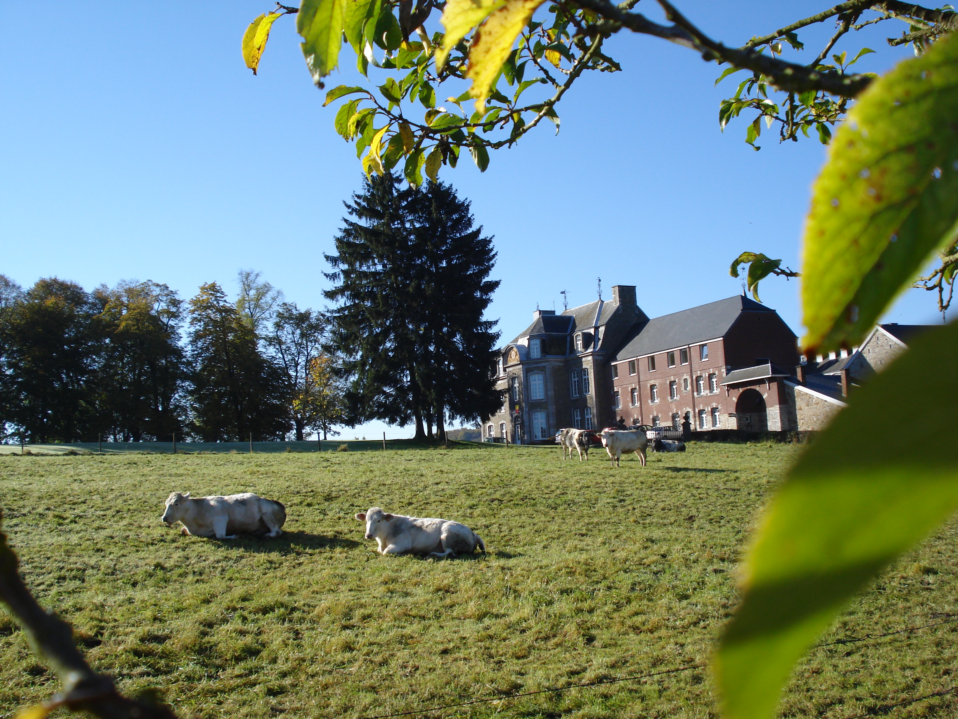 Abbaye de Brialmont