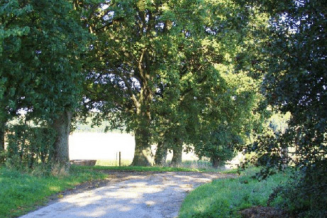 Ouffet P6 | Balade de l&rsquo;Herberin