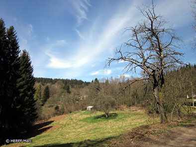Stoumont P06 | Promenade du Rond Ploay