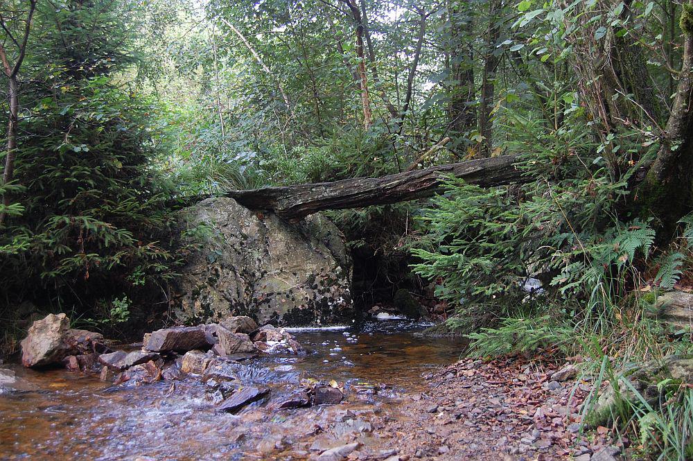 Aywaille P38 – Sedoz-Vallon du Ninglinspo- La Porallée-Ville au Bois- Vallon de la Chefna-Fonds de Quarreux-Sedoz