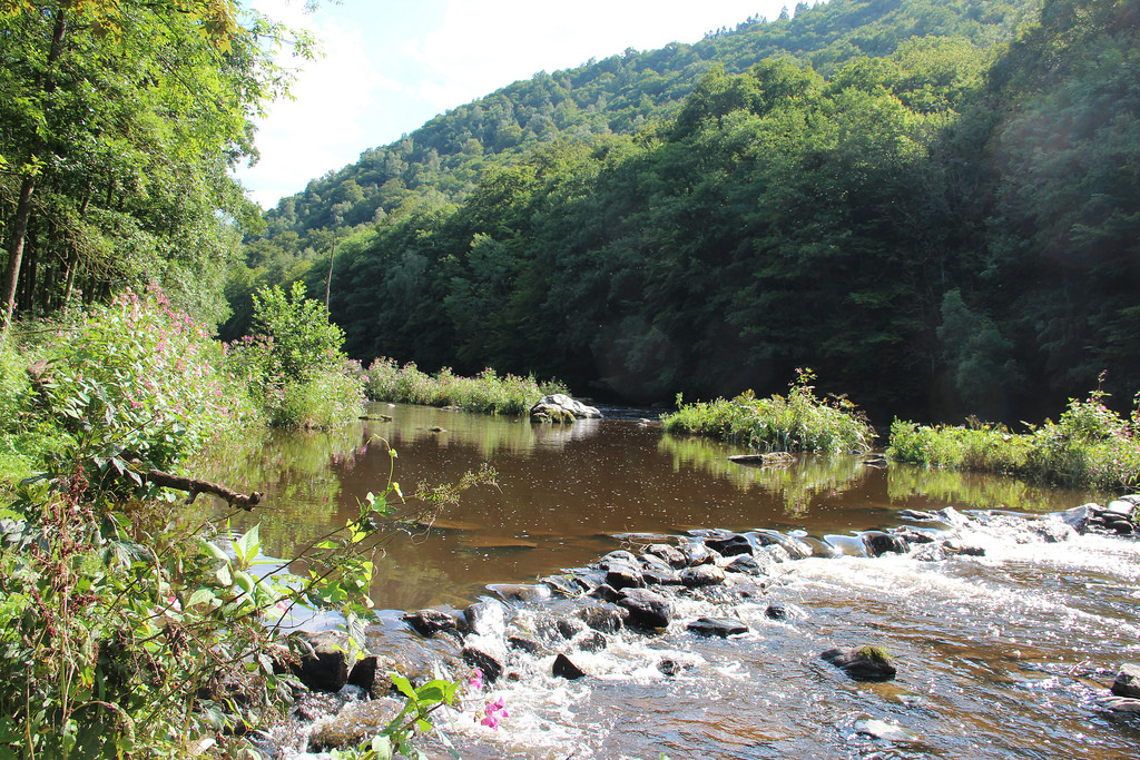 Aywaille P38 – Sedoz-Vallon du Ninglinspo- La Porallée-Ville au Bois- Vallon de la Chefna-Fonds de Quarreux-Sedoz