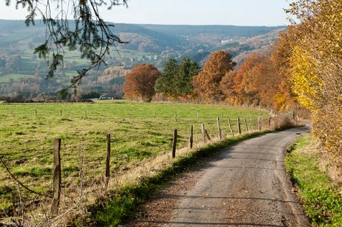 La Gleize | P6 Moulin du Ruy – Heilrimont – Roanne