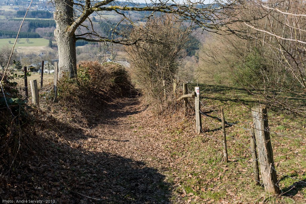 La Gleize | P8 Promenade du Pouhon de Ruy