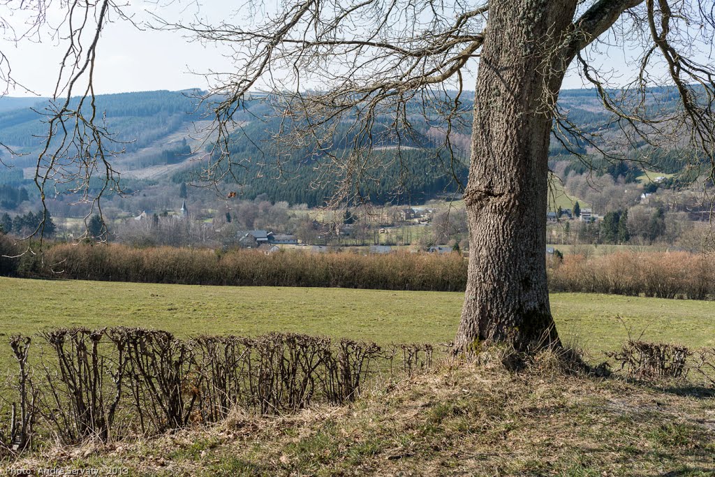 La Gleize | P5 Moulin du Ruy – La Gleize – Borgoumont