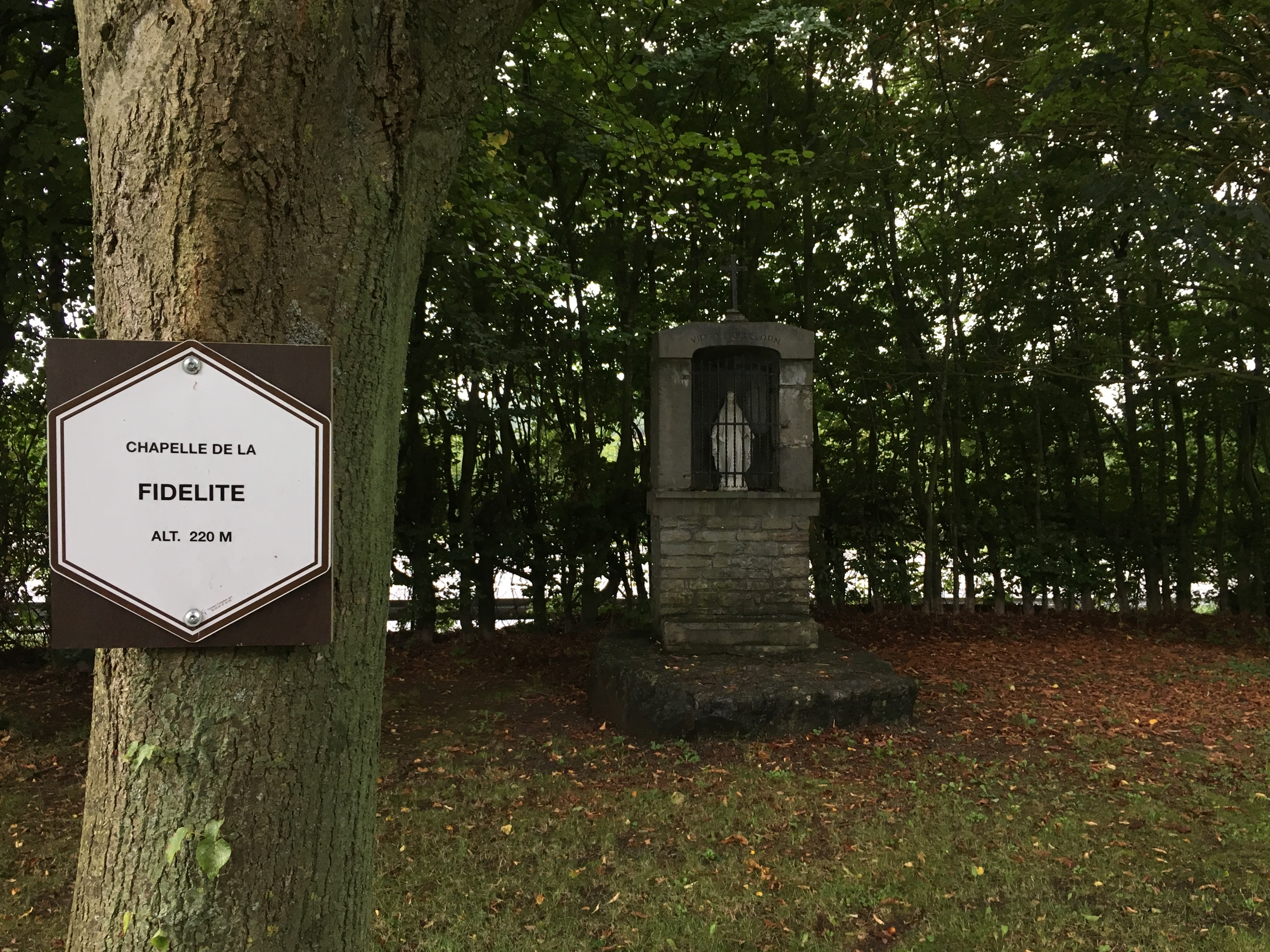 Aywaille AY10 | Les Chapelles – Hodister