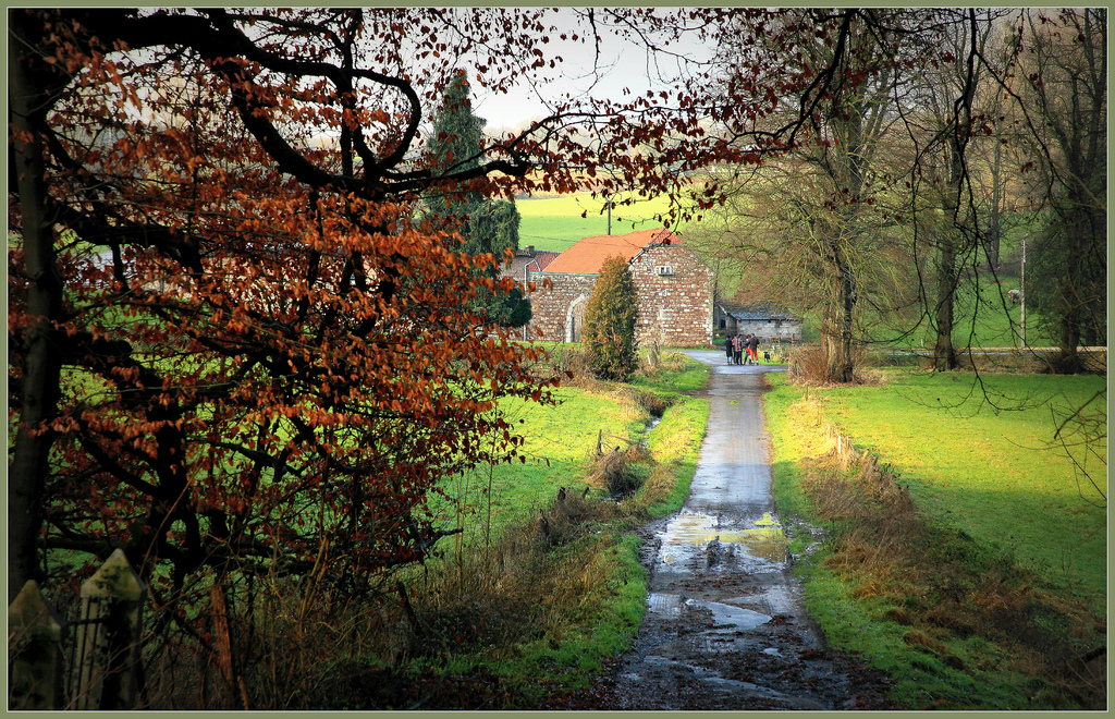 Sprimont P06 | Paysages de Gomzé