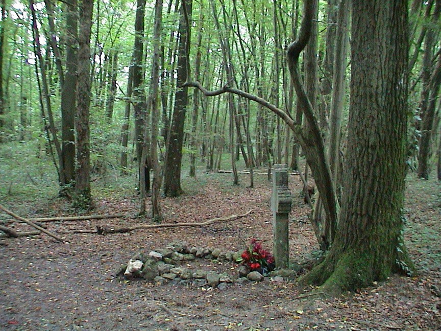 Hamoir P1 | Promenade de la Croix du Curé