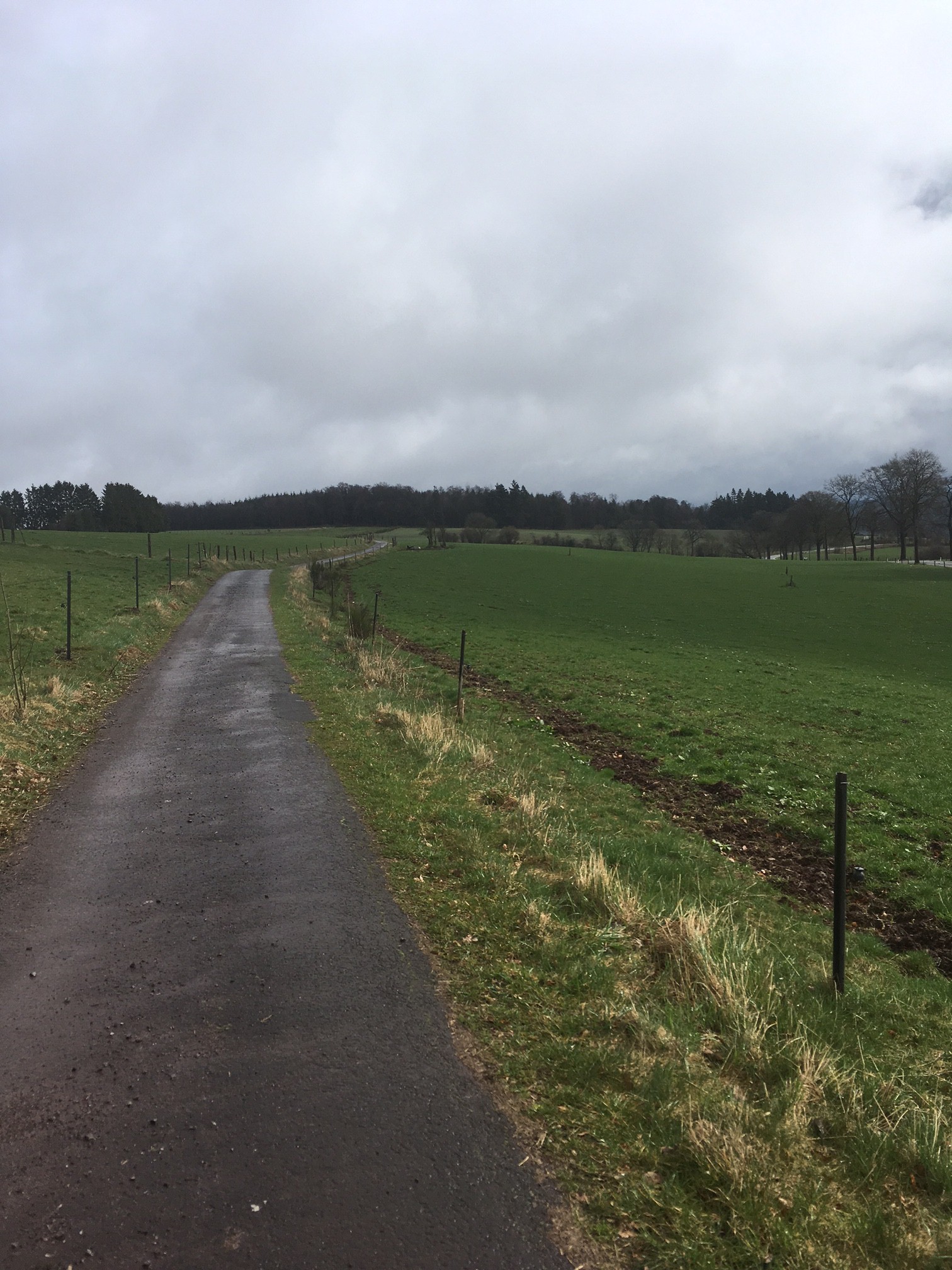 Ferrières P12 | Promenade de Werbomont 