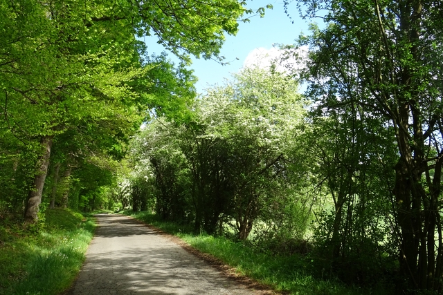 Géromont