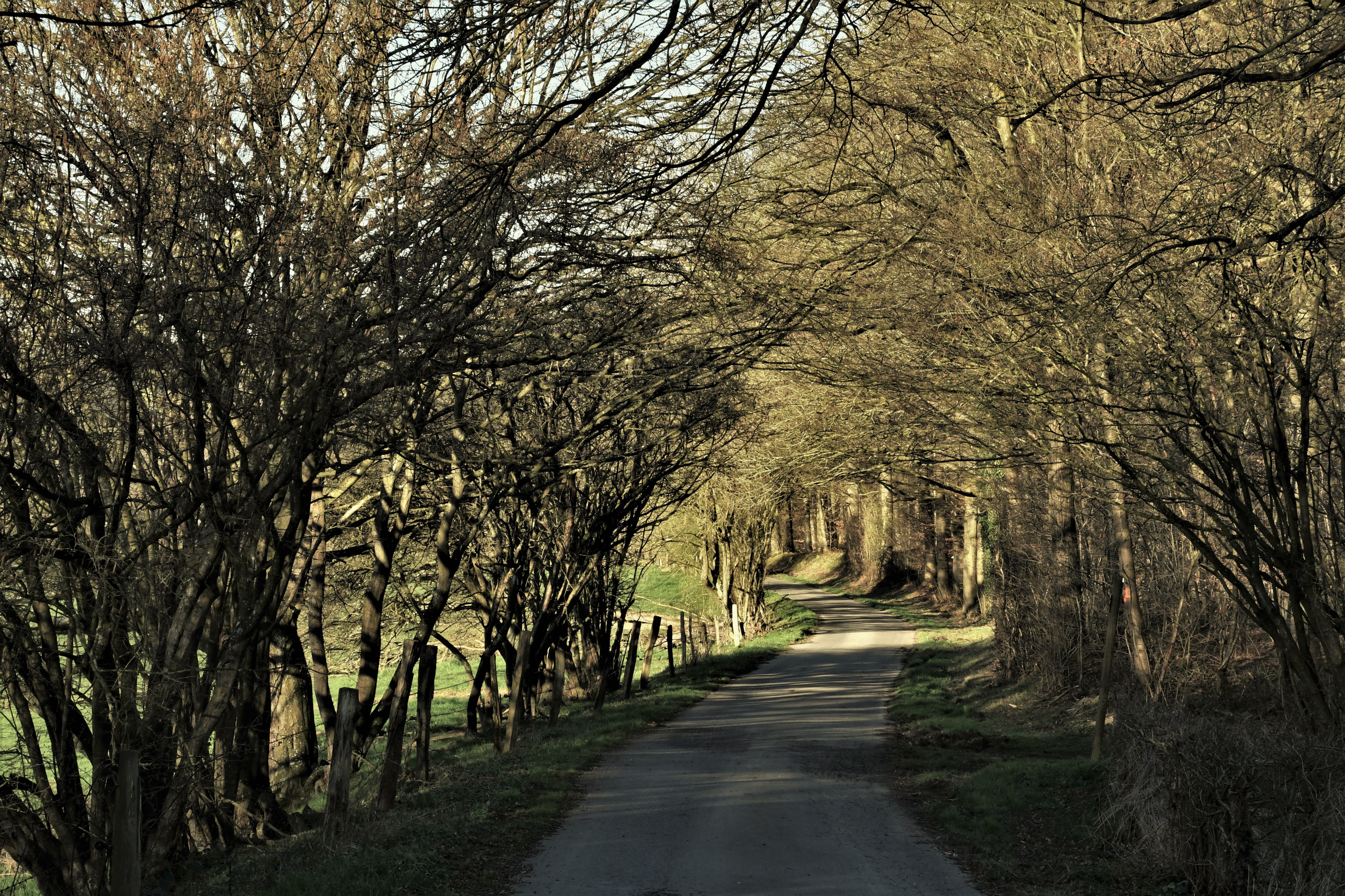 Promenade VTT 4