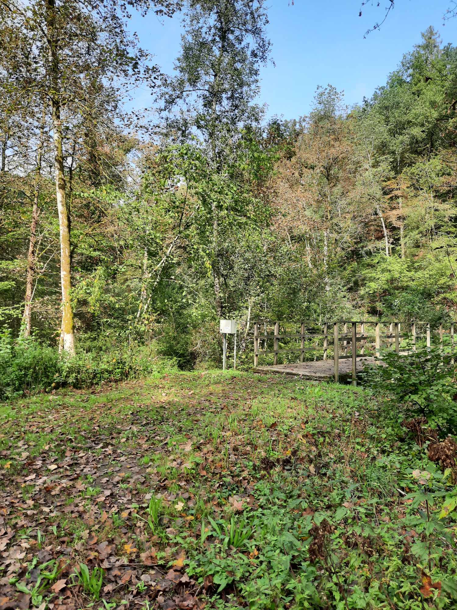 Trail 1 – Le Néblon 