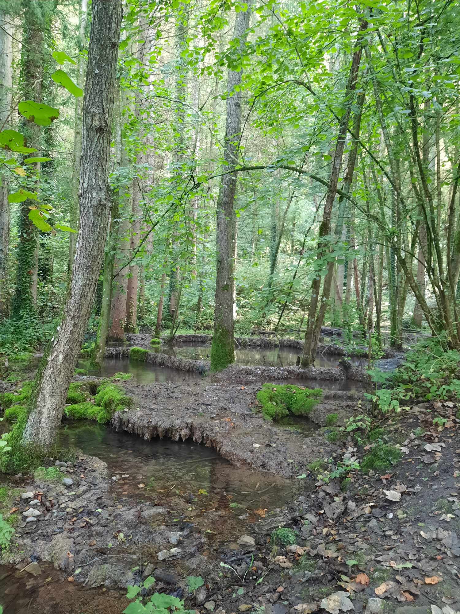 Trail 4 – Le Fond des Vaux 