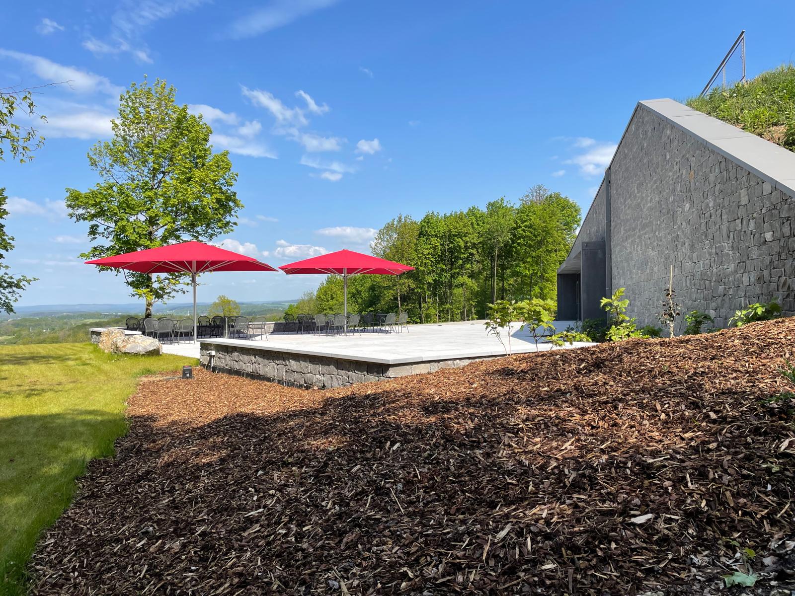 Visite de l'arboretum