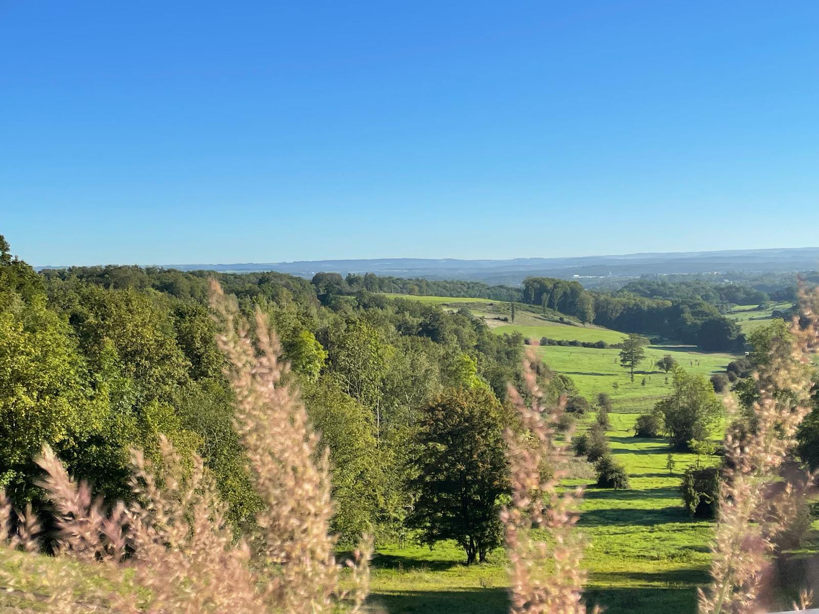 Visite de l'arboretum