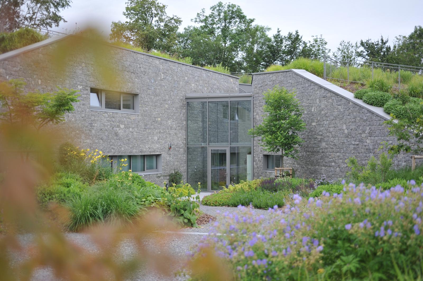 Visite de l'arboretum