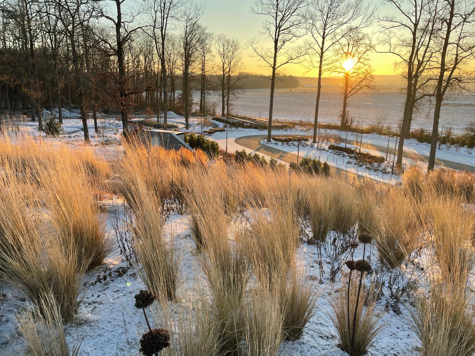Visite de l'arboretum