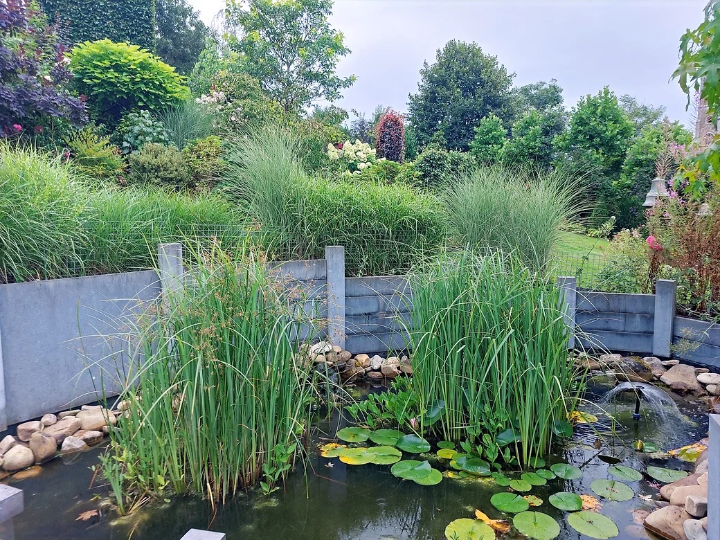 Visite du jardin la clé du temps, un Jardin Remarquable