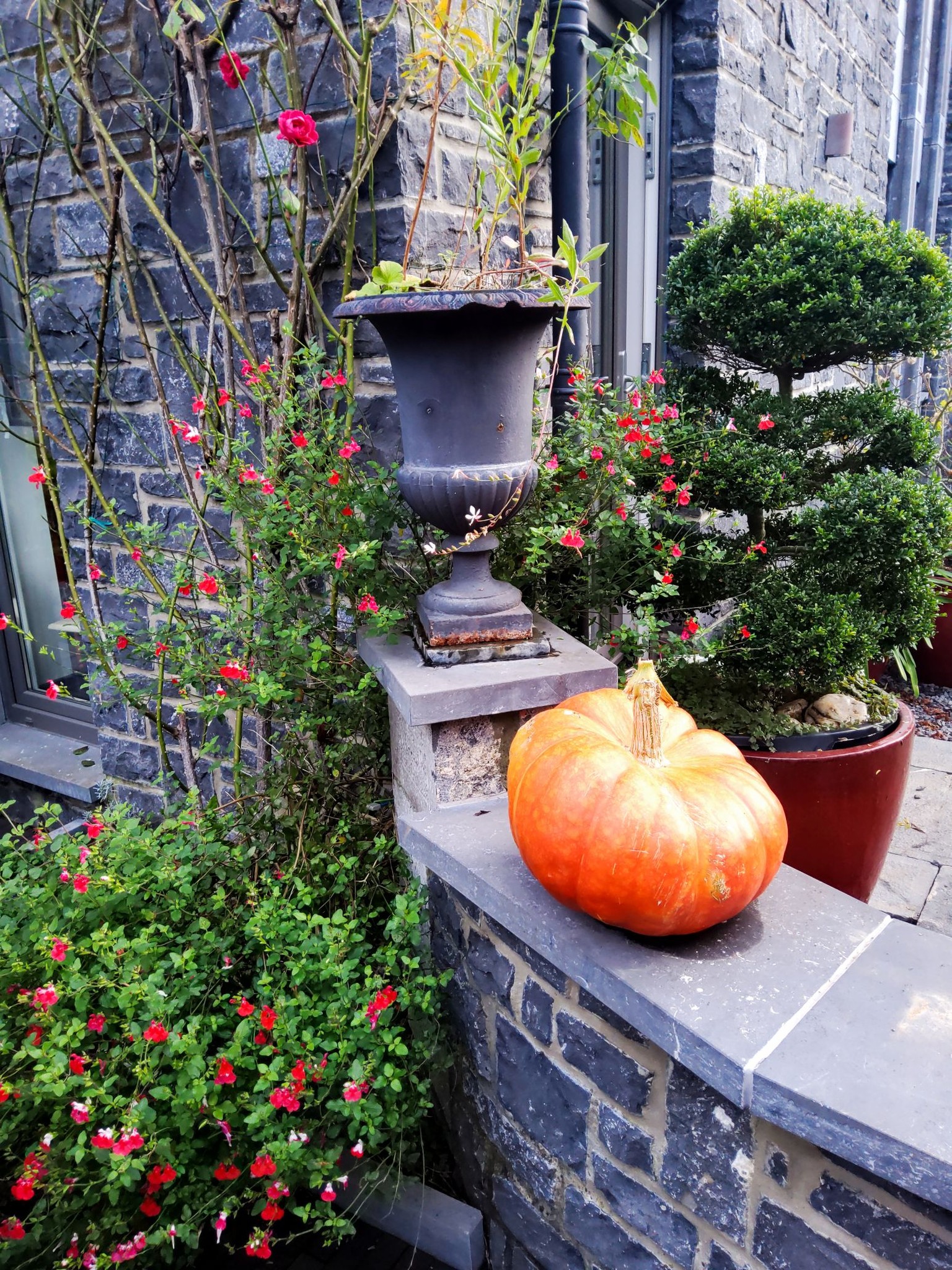 Visite du jardin la clé du temps, un Jardin Remarquable