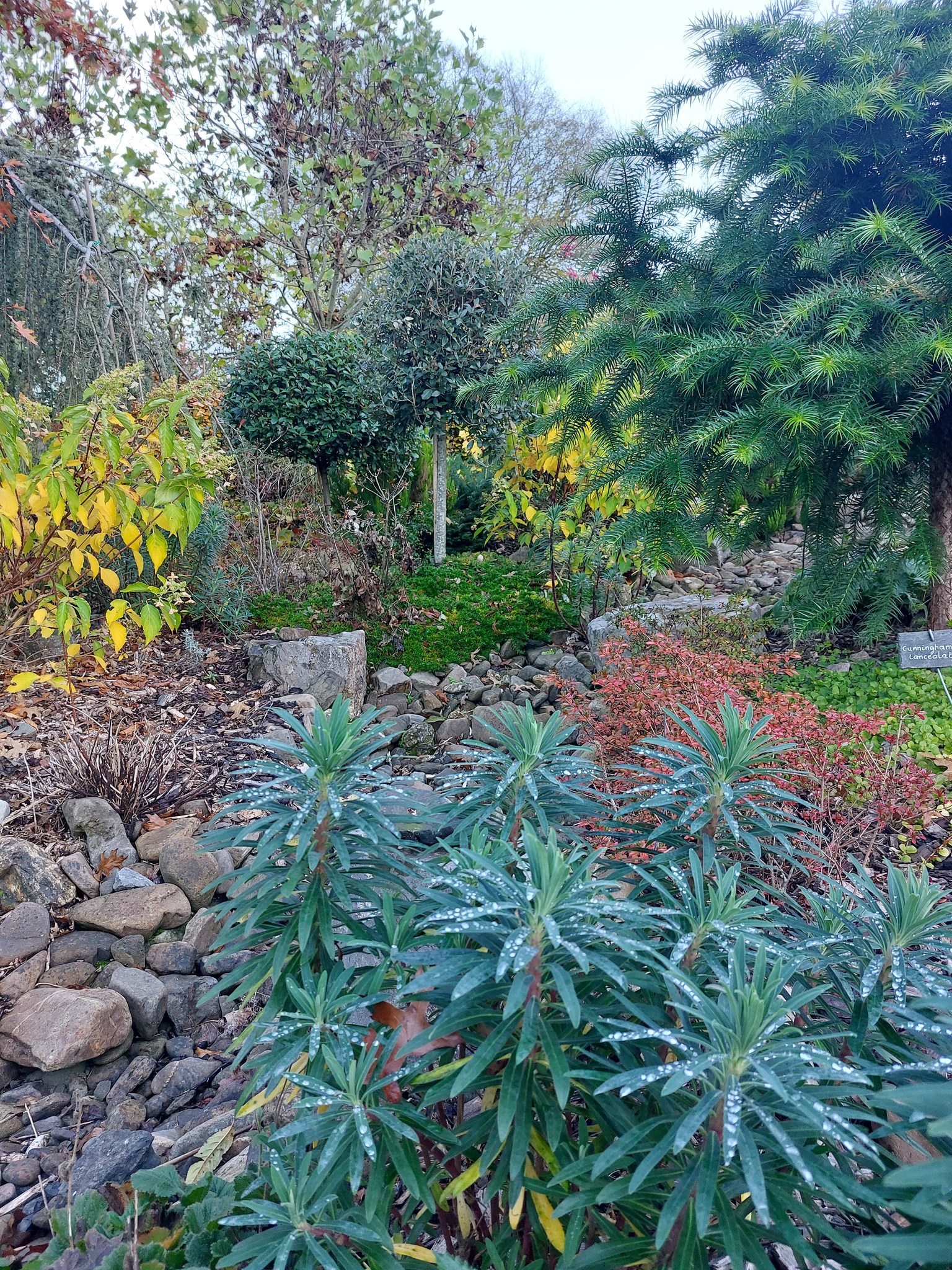 Visite du jardin la clé du temps, un Jardin Remarquable