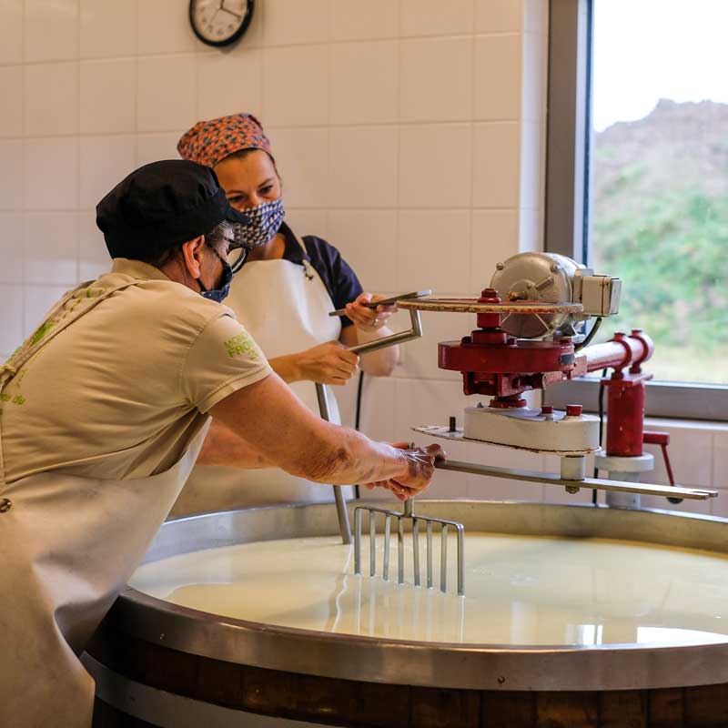 Visite guidée de la fromagerie du Samson