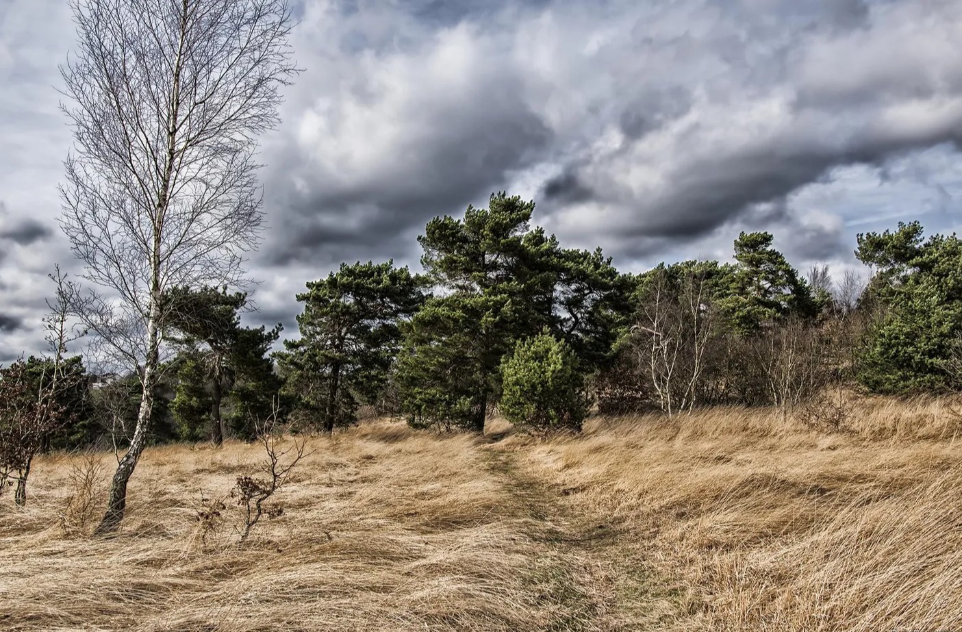 Chaudfontaine P 3 | Autour de la réserve naturelle de Bois-les-Dames 