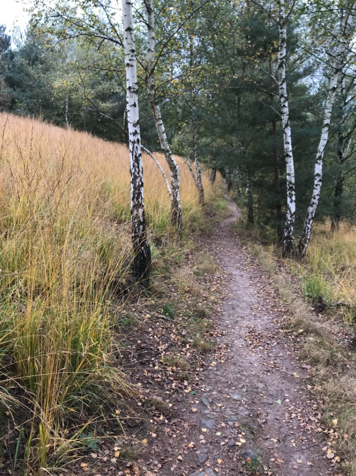 Chaudfontaine P 8 | Sur la crete des vallées de l&rsquo;Ourthe et de la Vesdre 