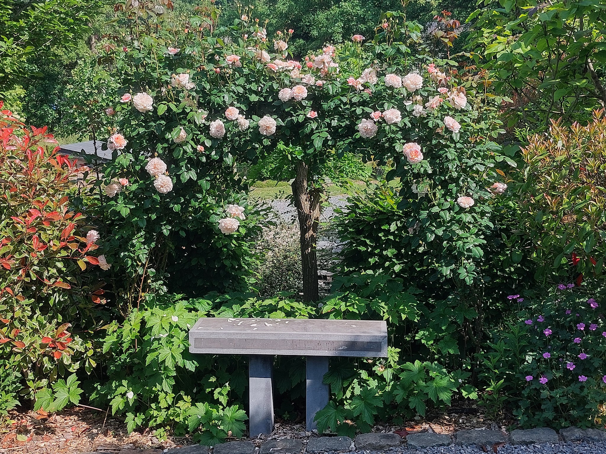 Visite du jardin la clé du temps, un Jardin Remarquable