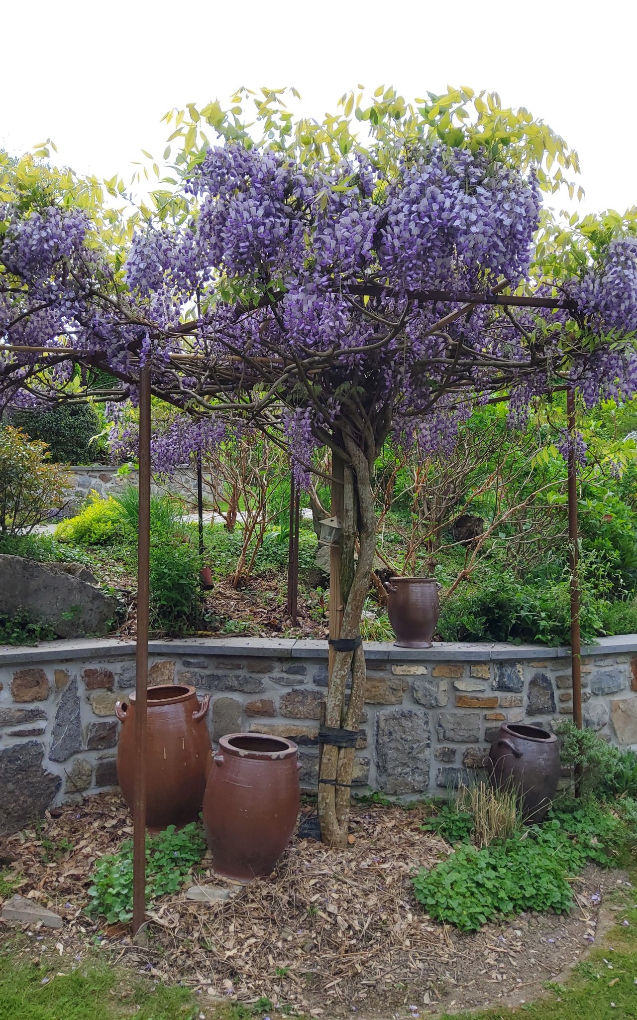 Visite du jardin la clé du temps, un Jardin Remarquable
