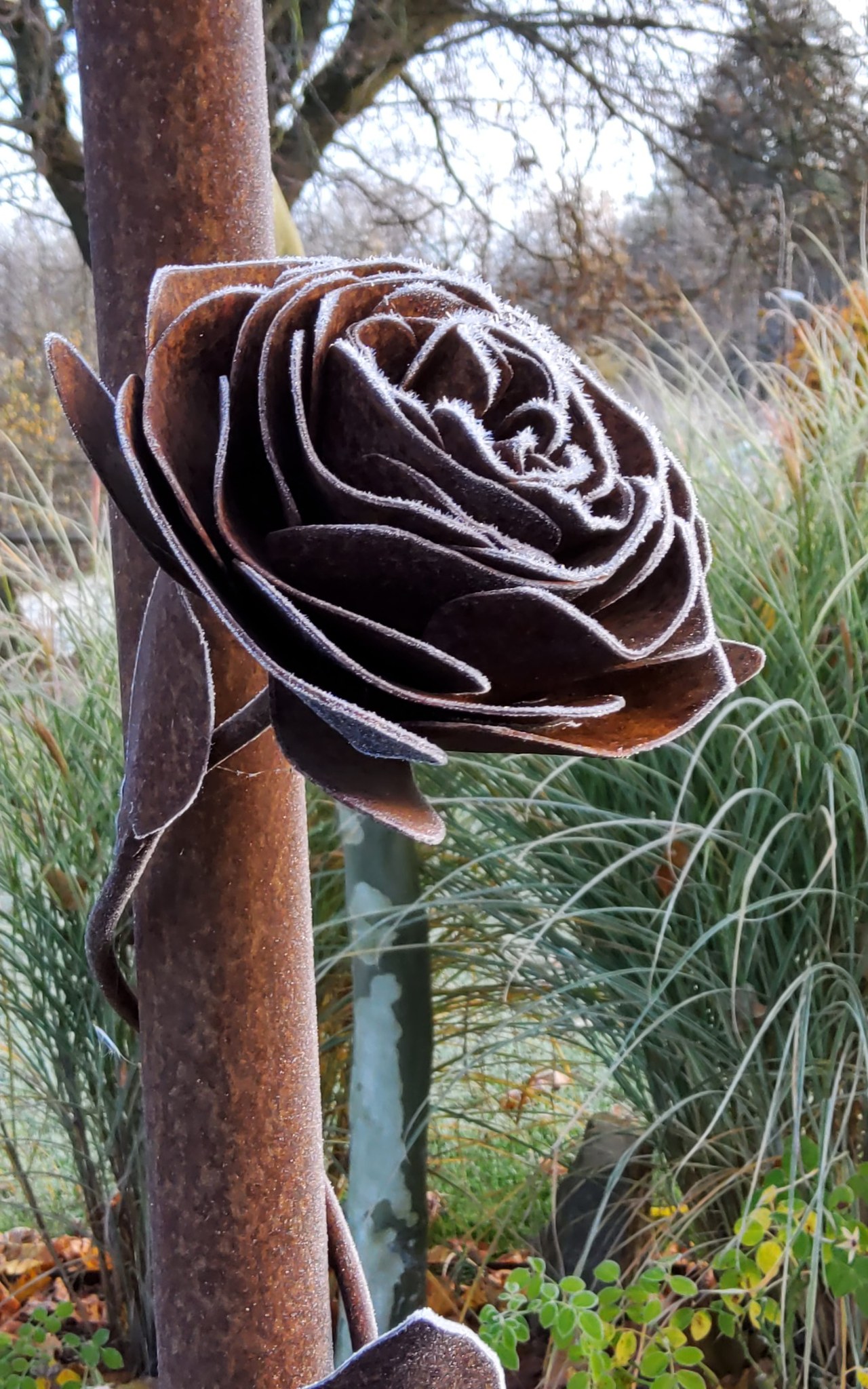 Visite du jardin la clé du temps, un Jardin Remarquable