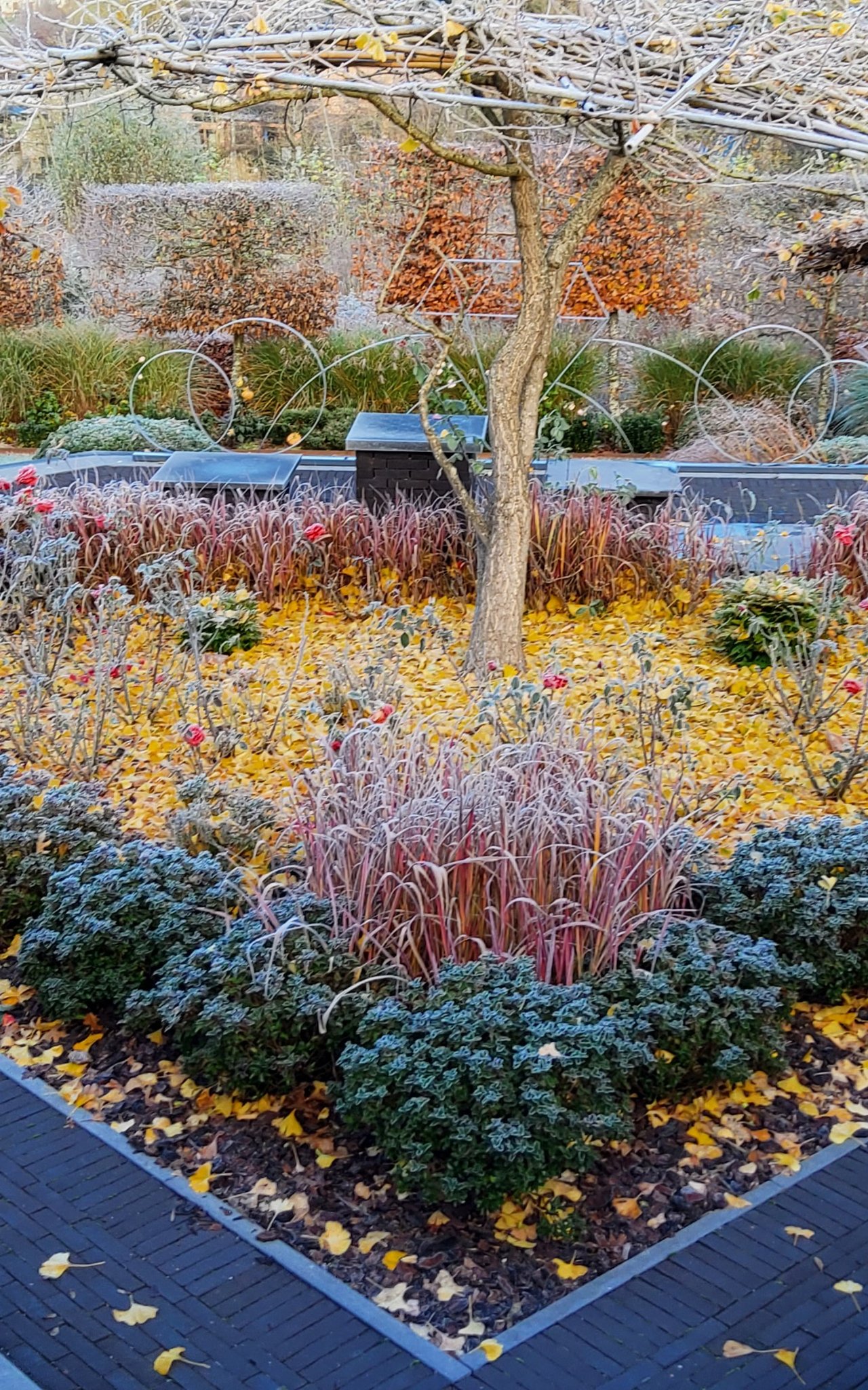 Visite du jardin la clé du temps, un Jardin Remarquable