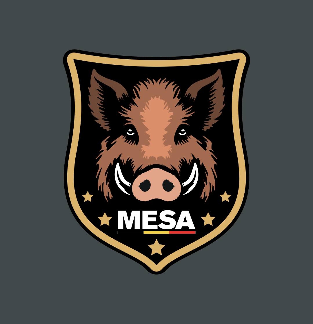 442486807_954866386647130_2184958503655245744_n