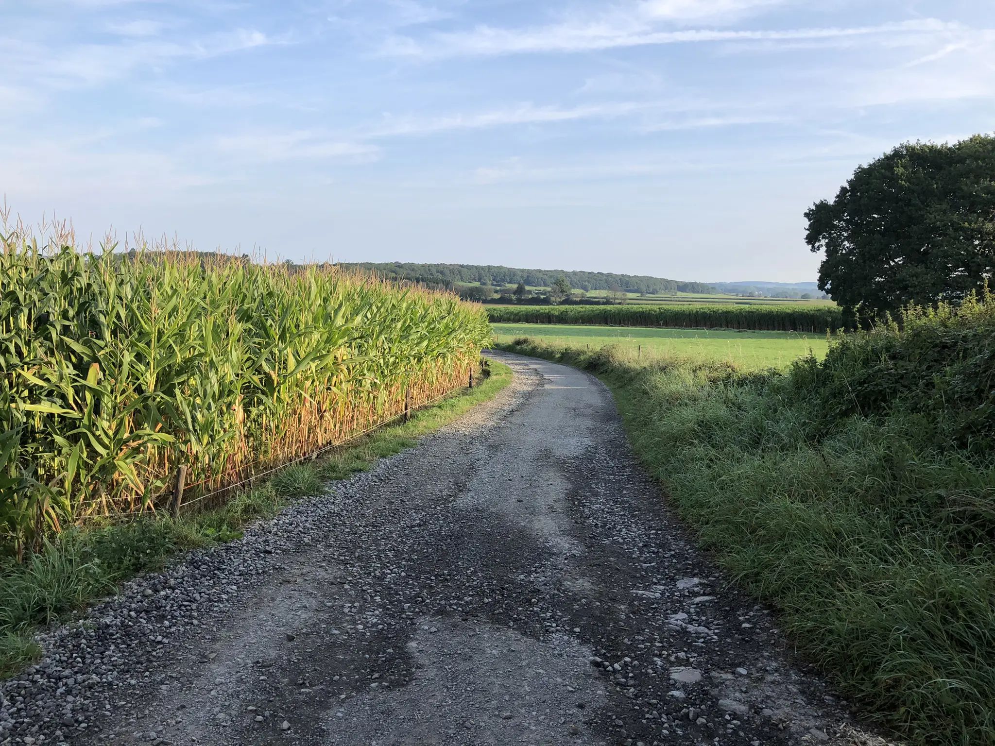 Hamoir | VTC 2 – Famenne