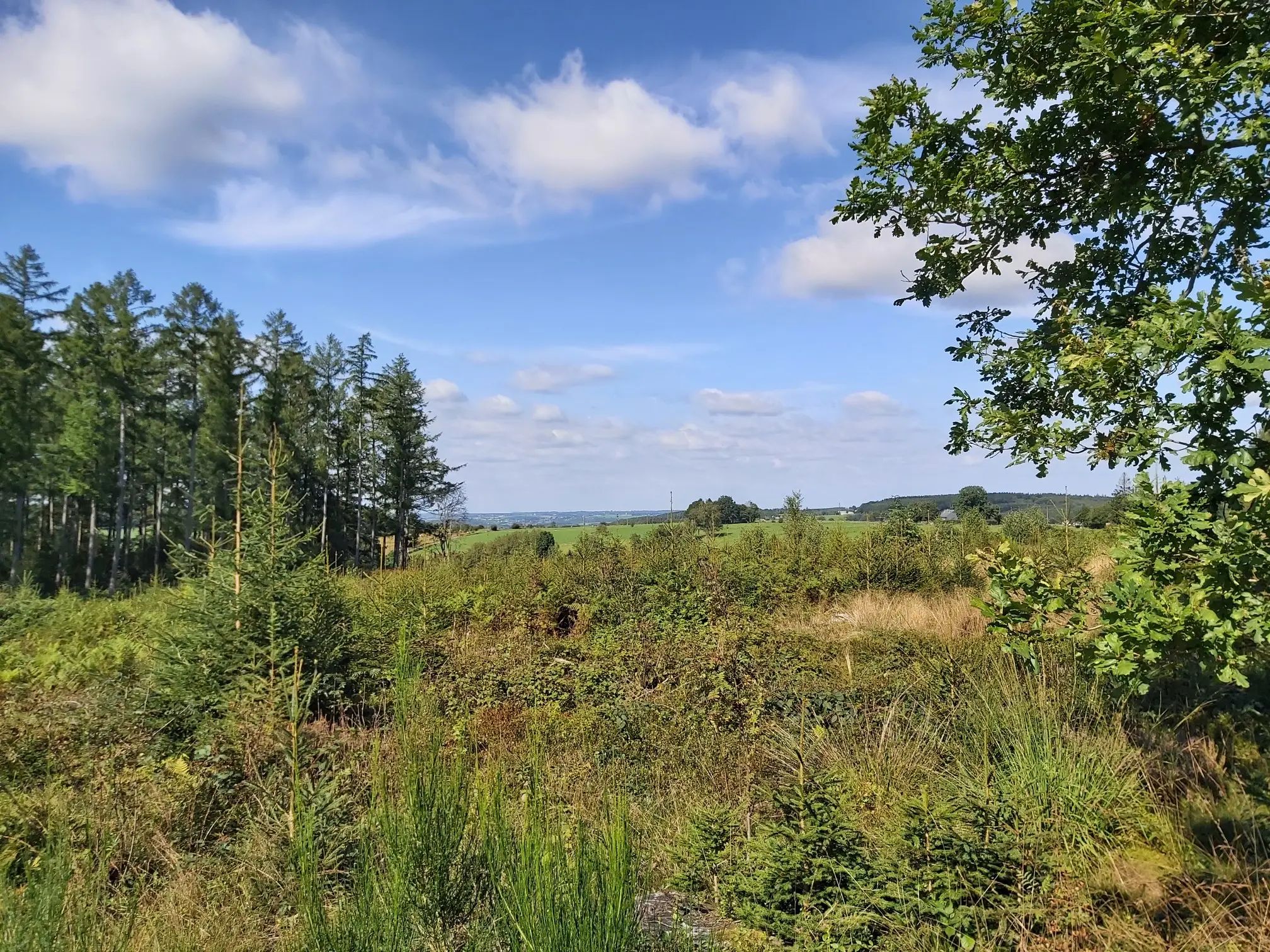 Hamoir | VTC 3c – ARDENNE Sport Nature 