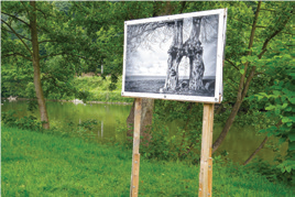 Expo Diafocam – Photos Club